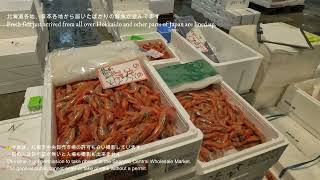 北海道札幌市中央卸売市場-Sapporo Fresh fish market