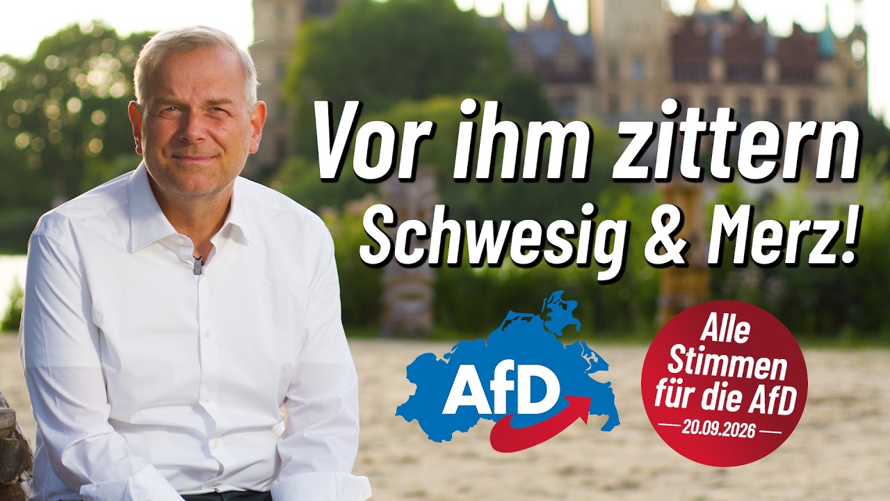 Leif-Erik Holm: Zeit für die blaue Wende! - AfD TV