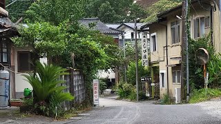 紫尾温泉　再び