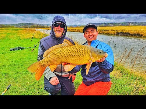 Shore Fishing Big Saskatchewan Carps