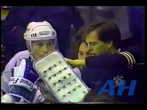 NHL Nov. 23, 1990 Boston Bruins v Hartford Whalers (melee) Jim Wiemer v Mike Tomlak