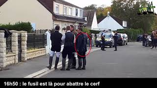 A deer is slaughtered in the garden of a private property during a hunting run (Oise)