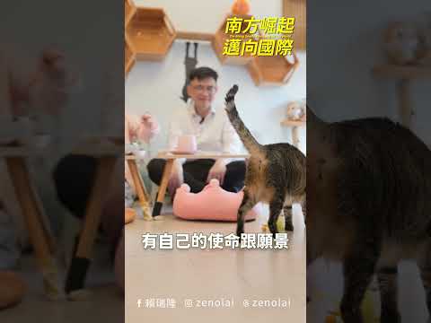 戰貓、隆貓合體！不談別的，先擼貓