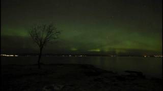preview picture of video 'Nordlys Trondheim | Aurora Borealis  Norway'