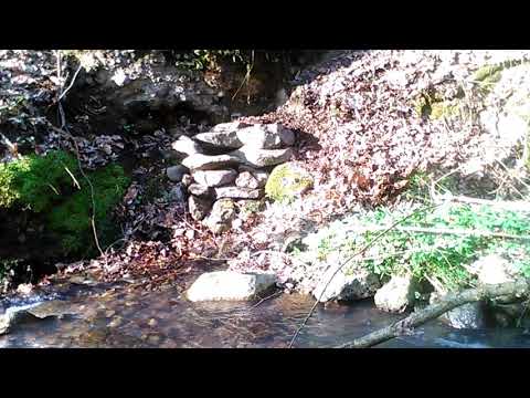 Izvorul de la padure Rostoci