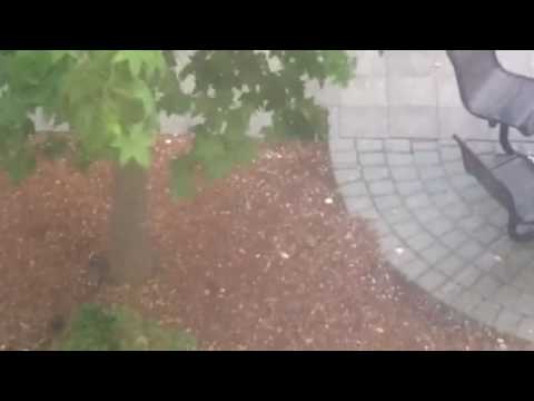 Wilmington MA Hail
