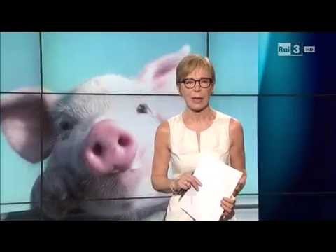 I turbosly esprimono listruzione di struttura Ginnastica efficace per perdita di peso di uno stomaco e parti