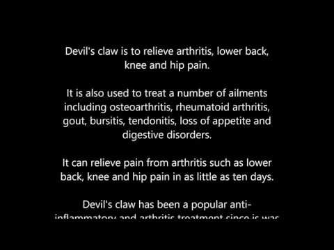 Devil's claw health benefits