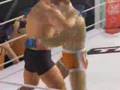 Pride FC (PS2) 
