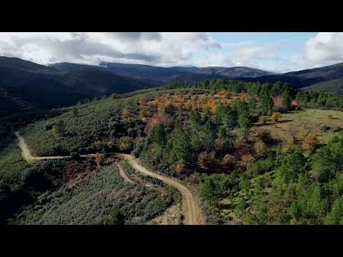 Senda del Camino Real Camino de Invierno (M.N. Las Médulas - BL-SD 01 León)