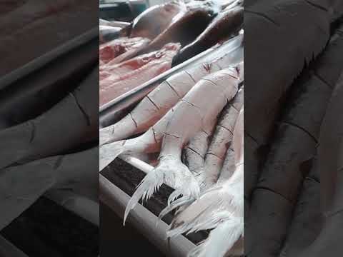 Assim é Santarem no Pará #santarém #para