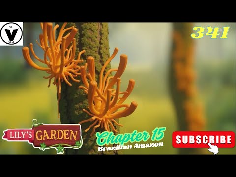 Lily's Garden Day 341 - Chapter 15 - Brazilian Amazon