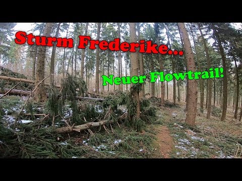 Unser neuer Homeflowtrail? 3,5km länge😍Kabusturm-Trail😭Sturmschäden #downhill #mtb