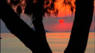 Sazlıklardan havalanan     İLHAN İREM