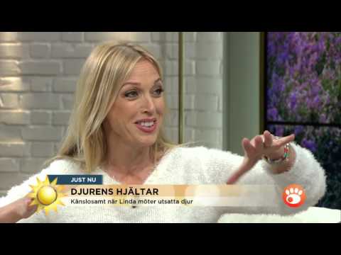 Linda Lindorff i tårar: "Man blir så förbannad!" - Nyhetsmorgon (TV4)