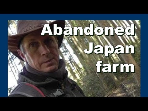 🍂 Abandoned shiitake mushroom farm 放棄された椎茸ファーム - Abandoned Japan 日本の廃墟