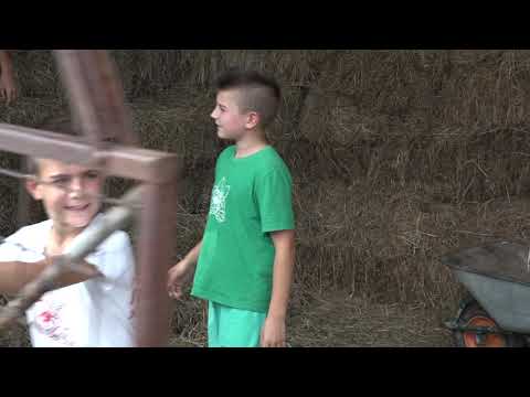 Naša priča ep. 213 19.09.2019. Voćarstvo, povrtarstvo, stočarstvo, Žiča