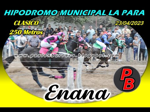 ENANA: HIPODROMO MUNICIPAL LA PARA (23/04/2023)