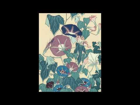 Yasushi Ishii - Morning Glory アサガオ