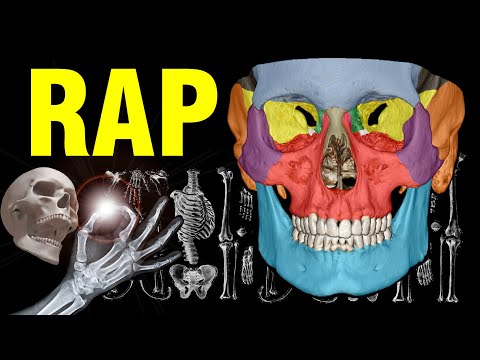 💀 RAP de LOS HUESOS 🦴 | Aprende los 206 HUESOS del Cuerpo Humano en 5 min | RAP del Esqueleto Humano