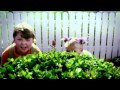 Nostalgia Critic Skitless The Cat In The Hat