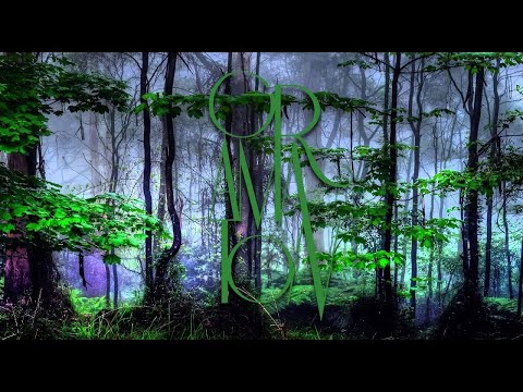 Forest Dark Psy Trance The Underground Never Dies (Suburbia Mix)