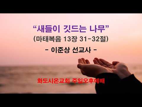 (제 2 남선교회 헌신예배) 새들이 깃드는 나무