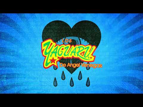 Los Yaguaru - Y Si Me Ves Llorar (Video Lyric)