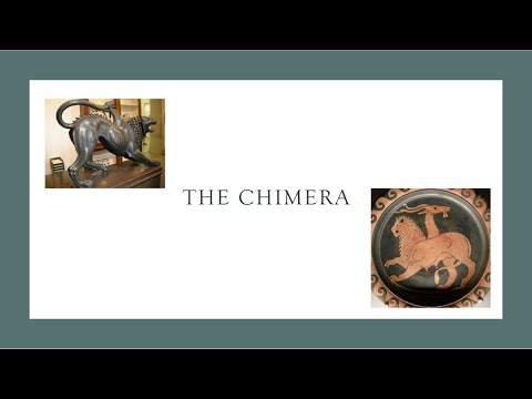 The Chimera