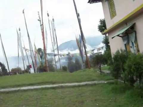 Pelling video