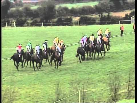 Youcantcallherthat - 2nd in Mares Point in Boulta 13/12/15