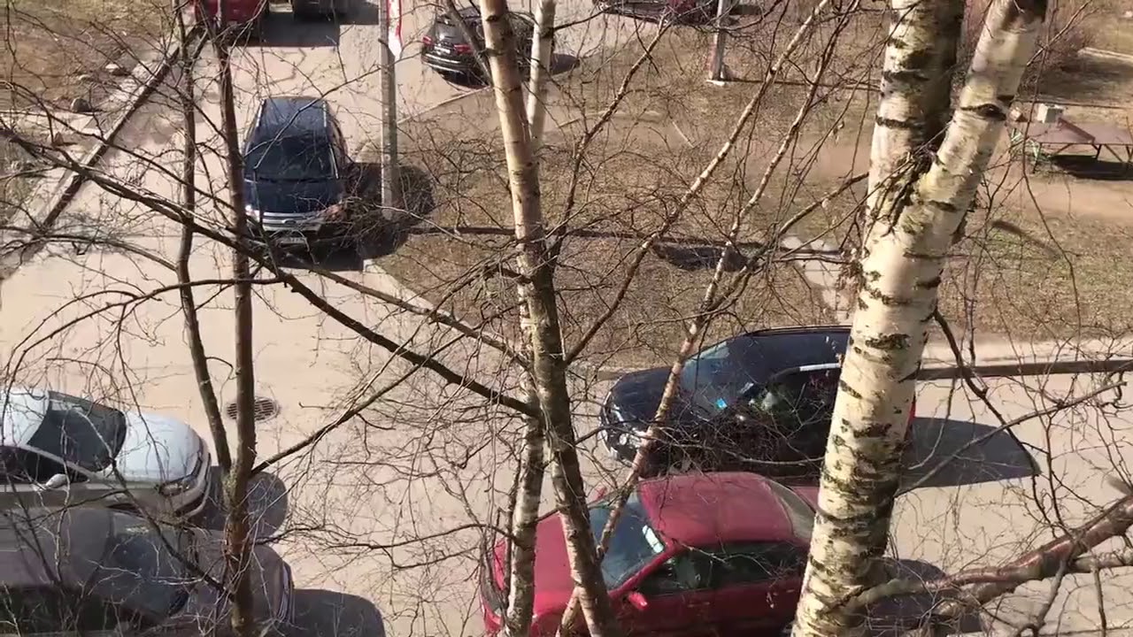 Упрямая мадам за рулем автомобиля