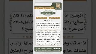 11545 - حكم دفن الحامل دون إخراج الجنين إذا ماتت في الشهر الأخير من الحمل -  نور على الدرب image