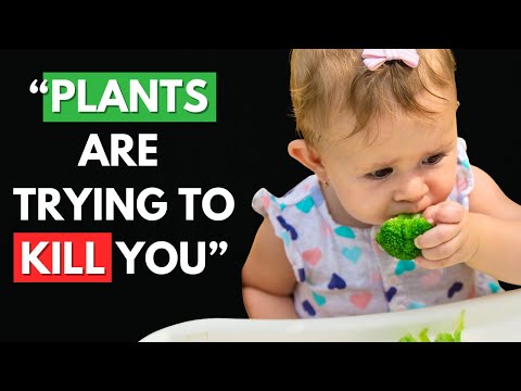 Primal Health Code and Anthony Chaffee MD