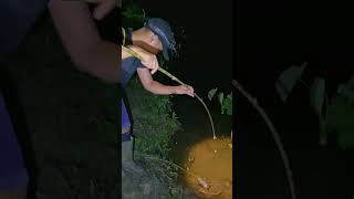 Download lagu Pasang Pancing Tajur Malam Hari Dapat Ikan Predator Monster 😱 #shorts #shorts mp3 Download lagu Pasang Pancing Tajur Malam Hari Dapat Ikan Predator Monster 😱 #shorts #shorts mp3