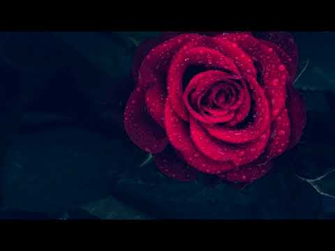 Chad Crouch Music, relaxing soundtrack