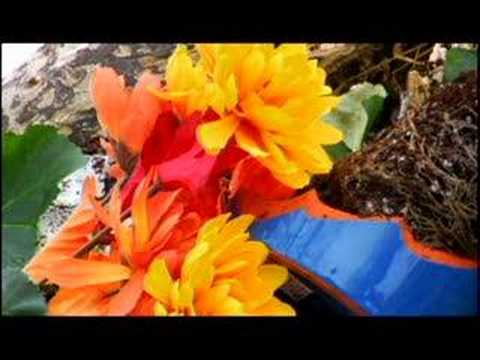 Tim Fite - Yesterday's Garden