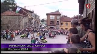 preview picture of video 'Pingada del mayo - Cristos 2014 - Duruelo de la Sierra'