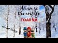 Alvin și Veverițele - Toarnă (cover Ruby) Alvin și Veverițele - Toarnă (cover Ruby)