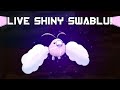 LIVE SHINY SWABLU AFTER 180 ENCOUNTERS ...