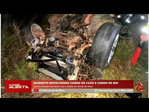 Acidente entre BMW e carro de boi mata animais em Borda da Mata