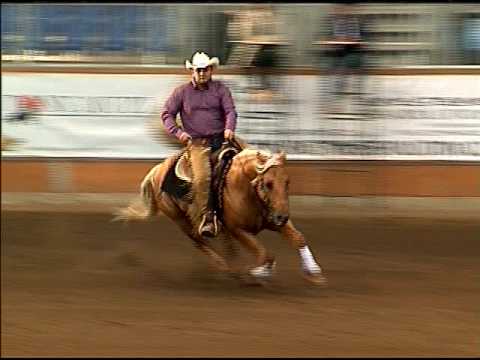 Sergio Di Benedetto Reining Maturity Open Champion2008