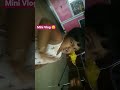 Tomader Jonno Chotto Akta Mini Vlog ️ ️