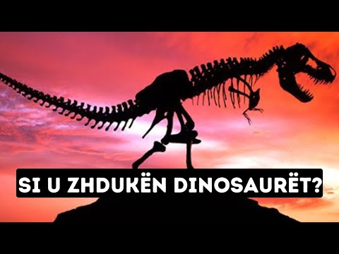 Asteroidi qe Pothuajse i dha Fund Jetes ne Toke