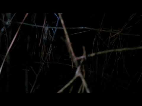 SCHEMIN YUNG LEAN & ULI K (PROD. MECHATOK)