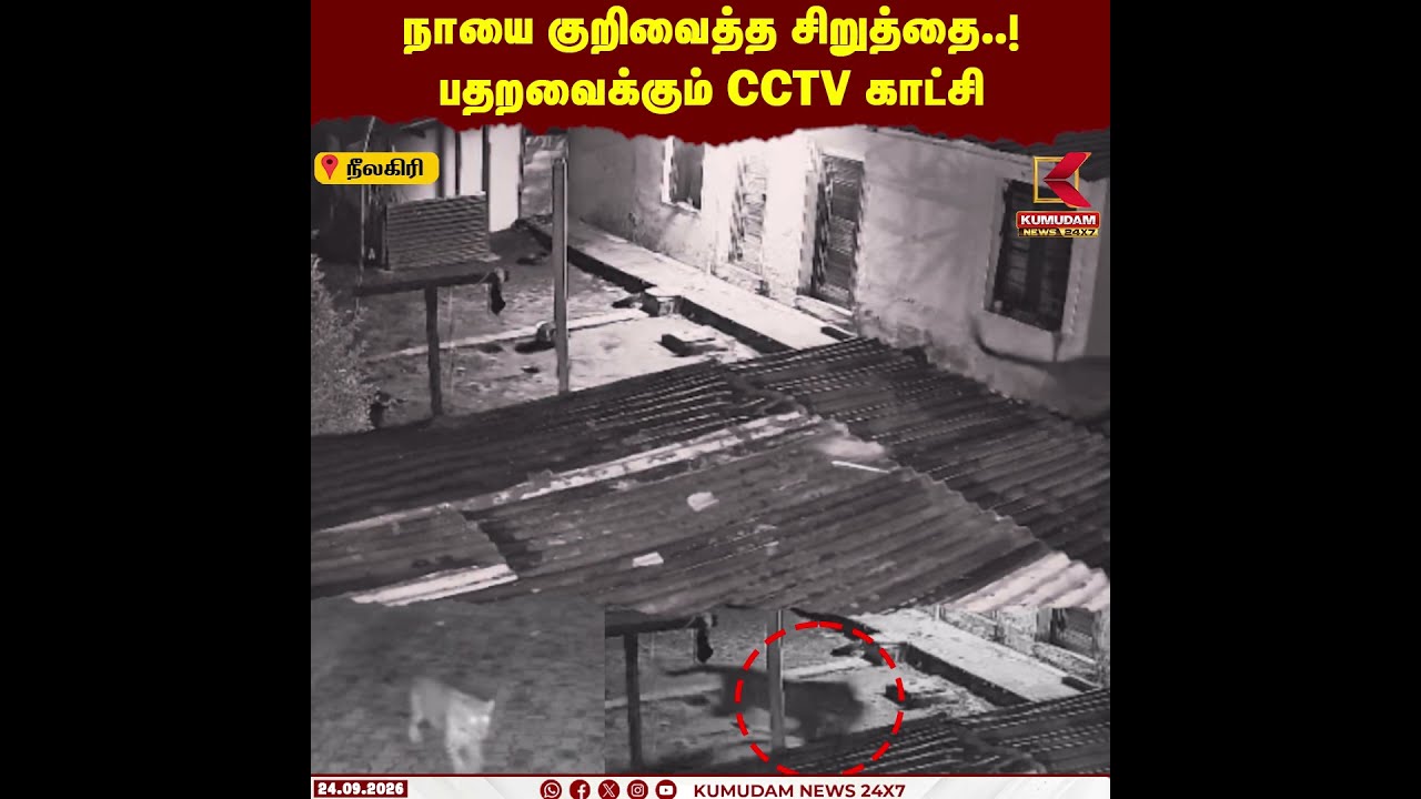 நாயை குறிவைத்த சிறுத்தை..! பதறவைக்கும் CCTV காட்சி | Leopard Attack | Nilgris | Kumudam News