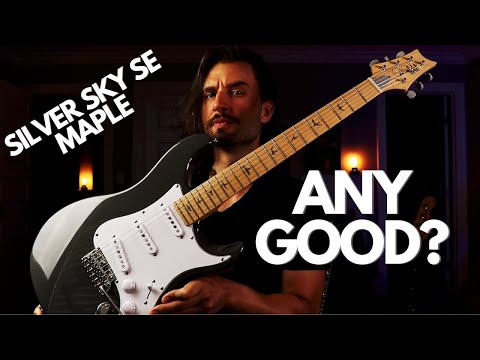 I played 50 SILVER SKY SE's and bought my favorite | PRS guitar REVIEW