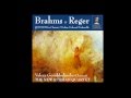 M. Reger: Quintet for Clarinet and String Quartet - I. Moderato ed Amabile