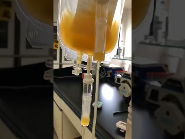 Blood Bank Equipment - Bio R Leukocyte Filters / Thalessemia Filters ...