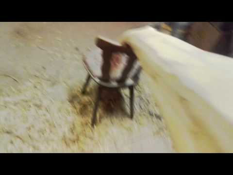 fujara E in progress